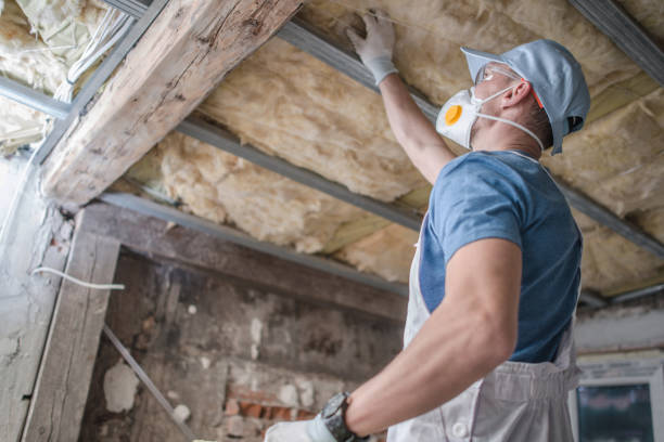 Best Cellulose Insulation in Colfax, WA