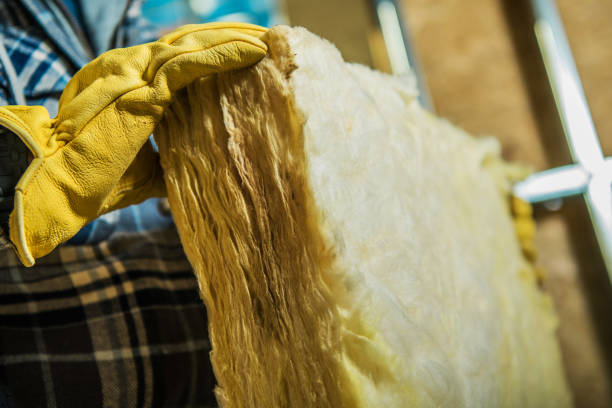 Best Eco-Friendly Insulation in Colfax, WA