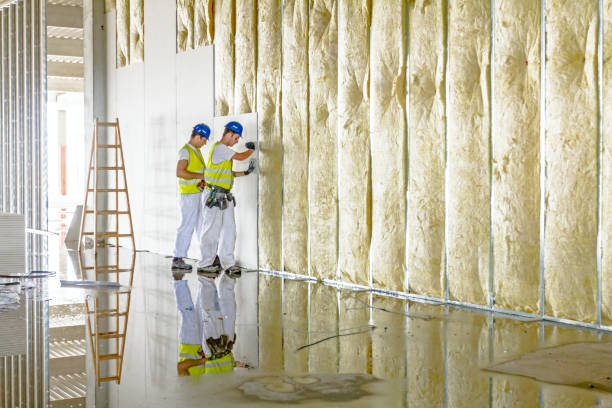 Best Energy Efficiency Insulation in Colfax, WA